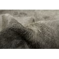 thumbnail image 2 of Tapis en Peau de Vache Naturel / 5'x7' / A, 2 of 2