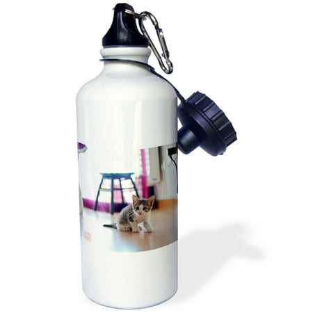 3dRose Young woman hugging and loving her dogs, a Spanish Greyhound or galgo and mixed breed brown dog, Sports Water Bottle, 21oz