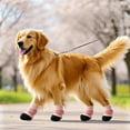 thumbnail image 3 of Breathable Dog Socks With Thick Grip Rubber Soles Pet Socks For Outdoor Indoor Protect Paws Safe On Hard Floor, 3 of 15