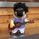thumbnail image 1 of Disfraz divertido de guitarrista para perros con peluca estilo afro y guitarra, ideal para fiestas y fotos graciosas, talla única, peso recomendado menos de 20 libras., 1 of 6
