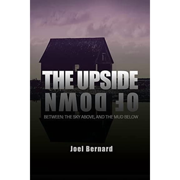 The Upside of Down (Paperback)