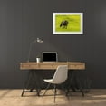 thumbnail image 3 of Illg, Cathy and Gordon 14x11 White Modern Wood Framed Museum Art Print Titled - Scotland, Shetland Islands Shetland pony, 3 of 4
