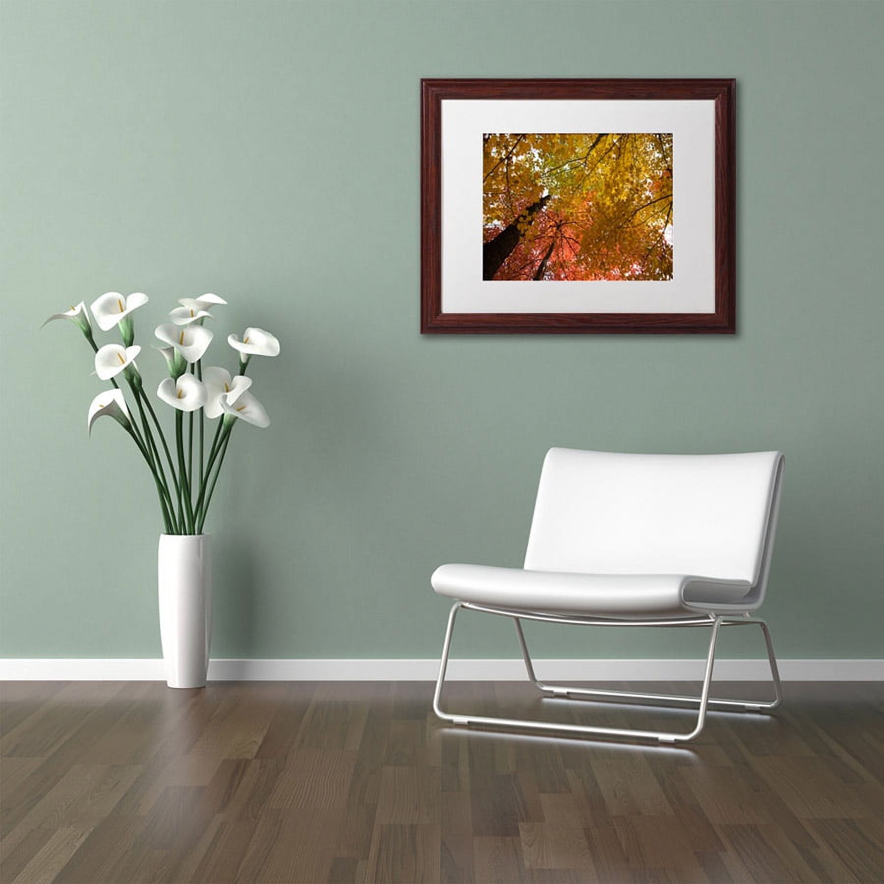 Trademark Fine Art "Spectacular Brilliant Autumn Trees" Canvas Art by Kurt Shaffer, White Matte, Wood Frame