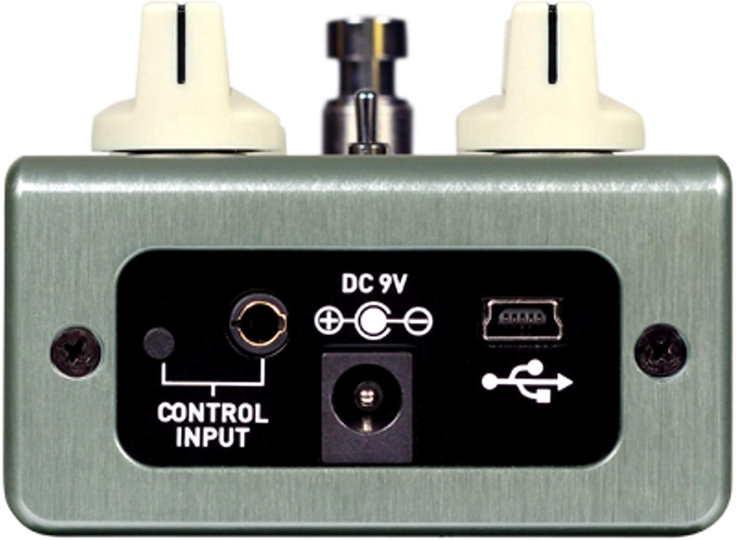 Source Audio True Spring Reverb Pedal