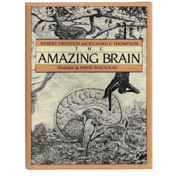Pre-Owned The Amazing Brain (Hardcover) 0395354862 9780395354865