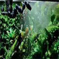thumbnail image 5 of Adjustable Spray Misting Nozzle Kit For Gareden Greenhouse Irrigation System Fogger Aquarium Reptile Humidity Nebulizer, 5 of 5
