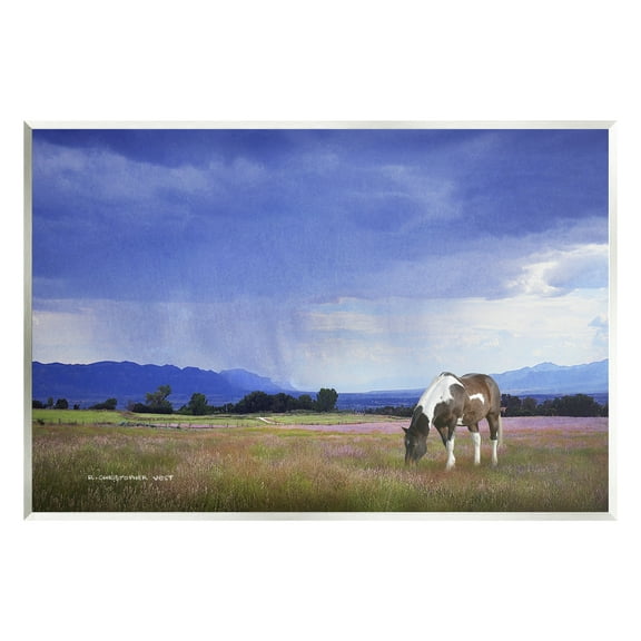 Stupell Spotted Horse Grazing Country Grassland Animals & Insects Photography Wall Plaque Unframed Art Print Wall Art