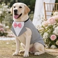 thumbnail image 4 of Dog Tuxedo Suit Formal Wedding Bandana Collar with Bow Tie,Adjustable Pet Costume Vest with Leash D-Ring for Party and Photoshoot,Size XL, 4 of 4
