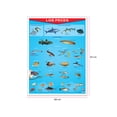 thumbnail image 2 of Póster Los Peces Educatodo B-0881-I, 2 of 2