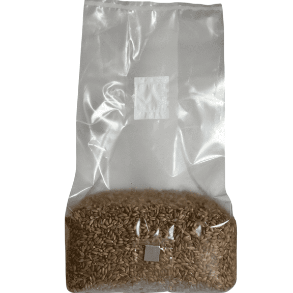5lb Organic Sterile Mushroom Grain Spawn | Injector Port Grow Bags, Hydrated, Ready to Inoculate (Pack of 1) | Made in USA