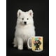 thumbnail image 3 of Taza de cerámica 445 ml con diseño ilustrado de perro pitbull, 3 of 7