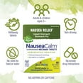 Boiron NauseaCalm Relief for Upset Stomach, Nausea, and Vomiting Due to