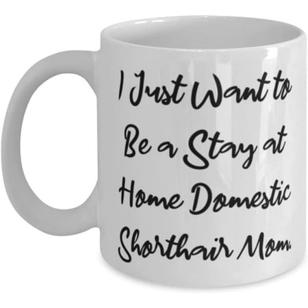 

Cheap Domestic Shorthair Cat I Just Want to Be a Stay at Home Domestic Shorthair Mom Joke 11oz 15oz Mug For Cat Mom From Friends