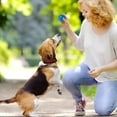 thumbnail image 2 of 3 Colors Puppy Chew indestructible Dog Toys for Teething Non Puppy Teething Rings Spikey Dog Balls for Ferret Stuff Medium Large Small Dogs Ferret Plush Durable Dog Toys for Aggressive Chewe Large, 2 of 3