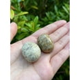 thumbnail image 3 of Fossil Coral Tumbled Stones, Polished Natural Fossil Coral Gemstone, Fossil Coral Healing Crystals (Fossil Coral, 1 Pound), 3 of 8