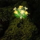 thumbnail image 3 of Inteprter Luces de flores con energía solar Luces decorativas para césped al aire libre Patio Jardín Luz de piso al aire libre Iluminación y accesorios Rosa, 3 of 6