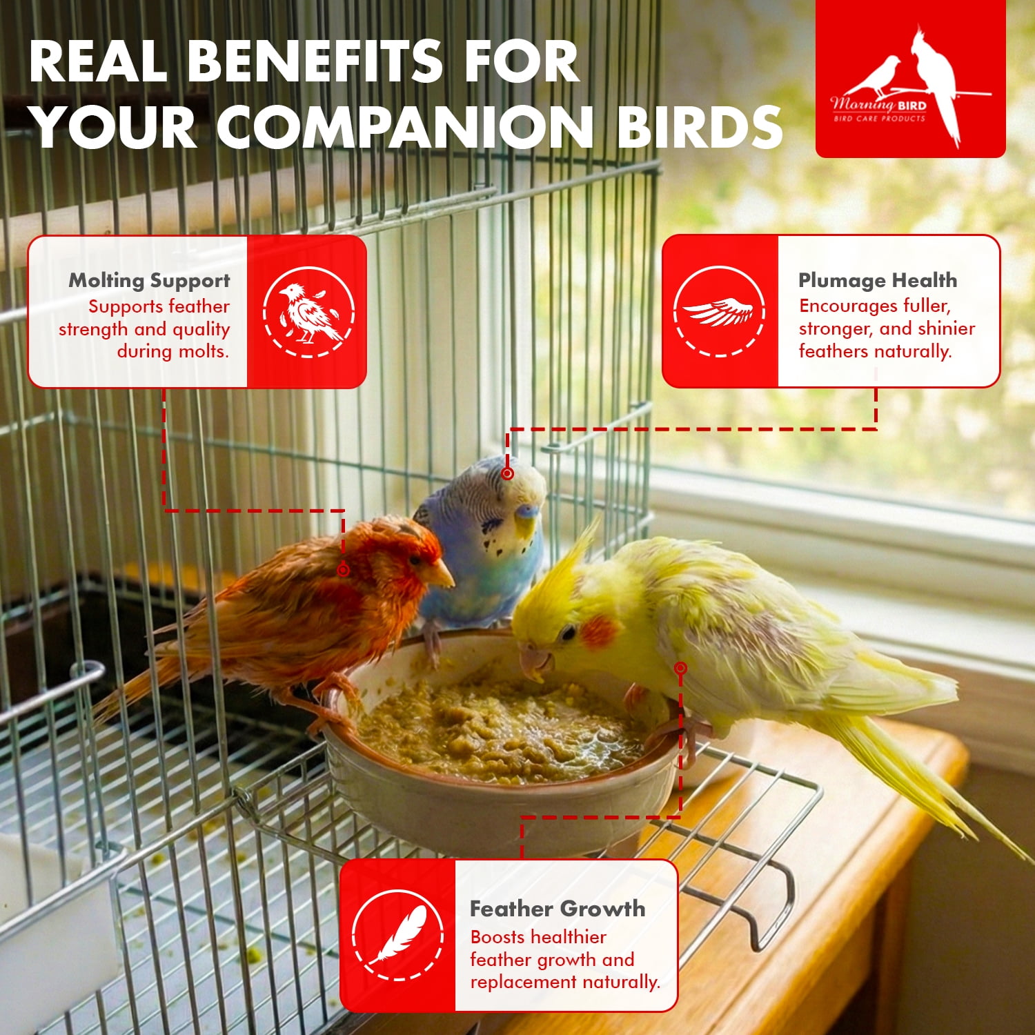 Morning Bird Feather Fast 4.5 oz – Daily Multi-Vitamin During Molt - Molting Support Supplement for Birds–Amino Acid & Vitamin Powder Promotes Feather Growth, Strength, and Full Plumage for All Birds
