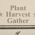 thumbnail image 2 of VHC Brands Sawyer Mill Kitchen-linens, Towel Set of 2 19x28, Corn & Plow, 2 of 7