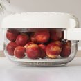 thumbnail image 4 of asddcavvf Multifunctional Fruit And Vegetable Washing Bowl Upgraded Fruit Drainer Container with Handle And In 1 Drainer Bilayer Collapsible Fruit round Tray Stainless Steel Dehydrator 10 Dry Fruit Pl, 4 of 7