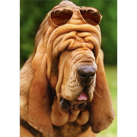 Face Stationery - Avanti Press Droopy Face Hound Funny Dog Father's Day Card