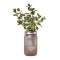 thumbnail image 2 of Modern Sprout 7006069 Mint Grow Kit, 2 of 4