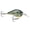 Live Bluegill, variant on Rapala DT 6 Crankbait Fishing Lure in Helsinki Shad Color