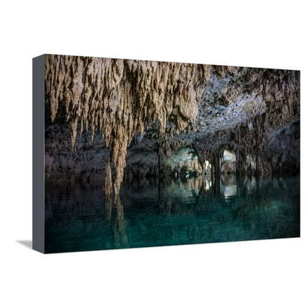 Inside A Cenote Pet Cementery, Tulum Riviera Maya, Traveling Mexico. Stretched Canvas Print Wall Art By