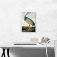 thumbnail image 2 of ARTCANVAS Sandhill Crane Canvas Art Print by John James Audubon - Size: 18" x 12" (0.75" Deep), 2 of 9