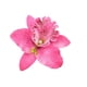 thumbnail image 1 of Horquilla Sonducket con patrón de flores Rosa roja, Accesorio para el cabello, portátil, 1 of 6