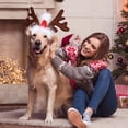 thumbnail image 4 of Miangastore Reindeer Antlers For Dogs Festive Style 1Set 12.6x11x0.8in, 4 of 8