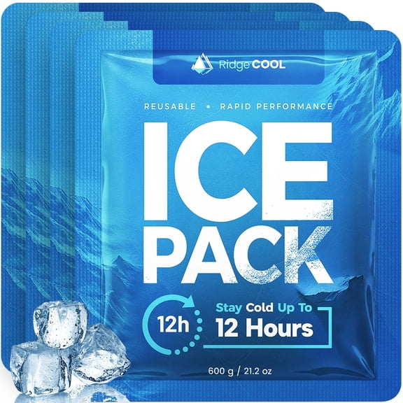Ridgecool Large Reusable Cooler Ice Pack Set for Camping and Travel, Leakproof, 9.8" x 8.6", 4 Pack