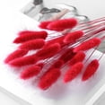 thumbnail image 2 of chaungfeng 17" Artificial Bunny Tails Dried Flowers, 20 Pcs Faux Dried Lagurus Ovatus, Dried Red Pampas Grass Decor for Farmhouse Flower Arrangements Wedding Home Boho Party Decorations, 2 of 8