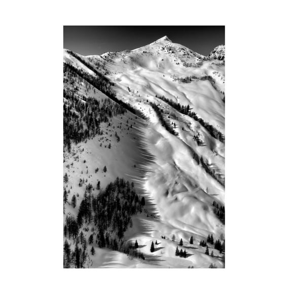 Trademark Fine Art Ales Klabus Low winter sun shadows 2 Canvas Wall Art