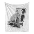 thumbnail image 1 of English Bulldog Soft Flannel Fleece Throw Blanket, Tie Wearing Puppy Sitting Inside a Briefcase Greyscale Illustration, Cozy Plush for Indoor and Outdoor Use, 50" x 70", Grey Pale Grey, by Ambesonne, 1 of 6