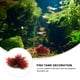 thumbnail image 3 of KAKOWELY Decoración de peceras, plantas de acuario, decoración artificial de plástico, decoración de peceras, plantas artificiales, 3 of 5