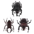 thumbnail image 1 of Juguete modelo de animales Hugo 3 PCS Figuras realistas, 1 of 10