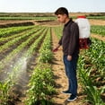 thumbnail image 6 of Red White Backpack Weed Sprayer Mist/Duster Gas Powered Pesticide Agricultural Tool 20L for Gardens, 6 of 14