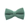 thumbnail image 1 of Dark Green Corduroy Dog Collar And Leash Set With Engraved Nameplate, 1 of 15