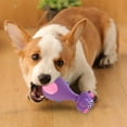 thumbnail image 3 of Funny Dog Toys Pet latex toys Squeakers Squeaky Dog Toys Dog Chew Toy Small Puppy Toy(Purple), 3 of 6