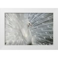 thumbnail image 1 of Ivanova, Victoria 24x17 White Modern Wood Framed Museum Art Print Titled - As white as snow, 1 of 4