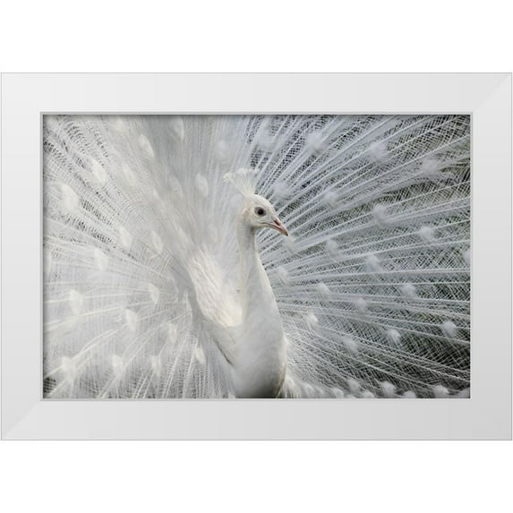 Ivanova, Victoria 24x17 White Modern Wood Framed Museum Art Print Titled - As white as snow