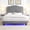 Light Gray, variant on Mintazer Queen Upholstered Platform Bed with Rivet Trim & Curve Design, Tufted Velvet Bed Frame with LED Lights, Black