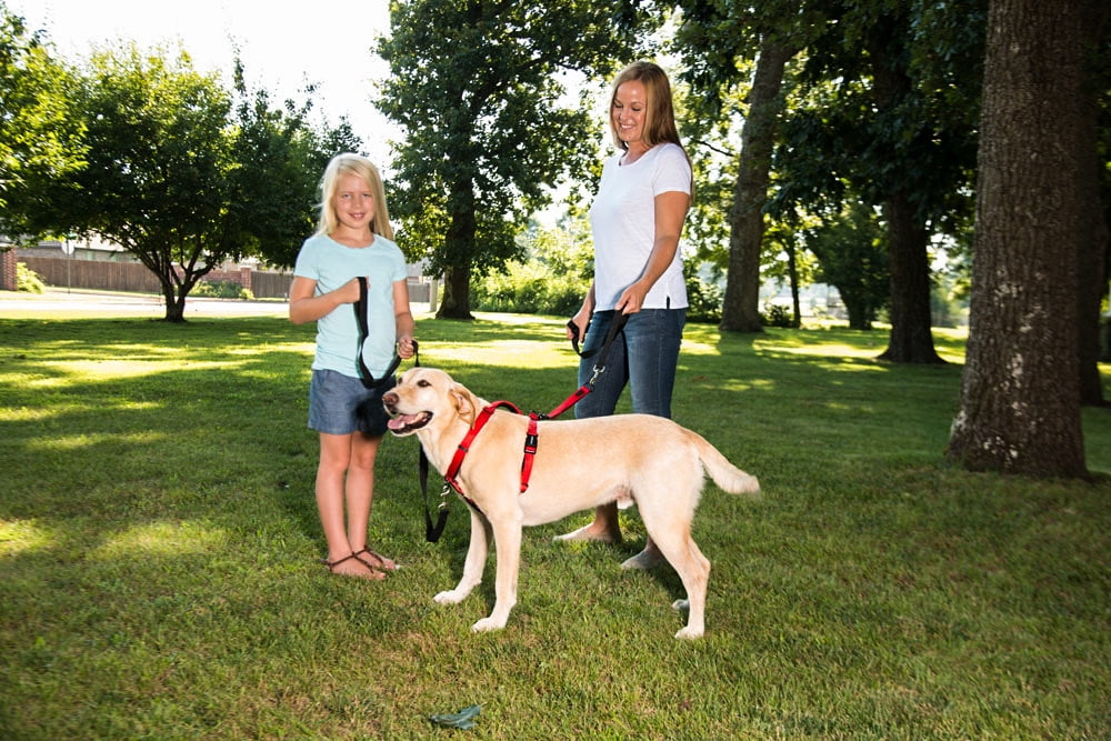Sporn Adjustable Ultimate Dog Control Harness, Black, M (18" to 30" Chest Size)