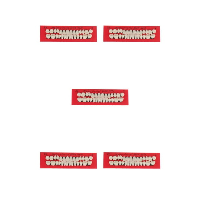 Soidarity 28 unids/set modelo de de resina dentaduras duraderas postizos universales Resi Type2 NO2