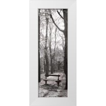 Blaustein, Alan 11x24 White Modern Wood Framed Museum Art Print Titled - Jardin du Luxembourg Banc