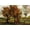 Unframed, variant on Art.com Autumn Landscape with Four Trees Stretched Canvas Print Wall Art by Vincent van Gogh, 18" x 12"