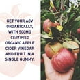 thumbnail image 3 of Garden of Life Organics Apple Cider Vinegar, 60 Vegan Gummies, 3 of 6