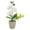 White, variant on AOOOWER Fade Resistant Realistic Butterfly Orchids Simulation Faux Potted Plant for Wedding Centerpieces and Room Styling