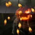 thumbnail image 4 of 9.8FT 20 LED Ghost Halloween String Lights Battery Operated , Warm White Halloween Decorations Fairy Lights Waterproof Outdoor Indoor Home Window Yard Décor, 4 of 14