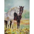thumbnail image 2 of Zareckaye, Tatiana 12x14 White Modern Wood Framed Museum Art Print Titled - Horses in Love IV, 2 of 4